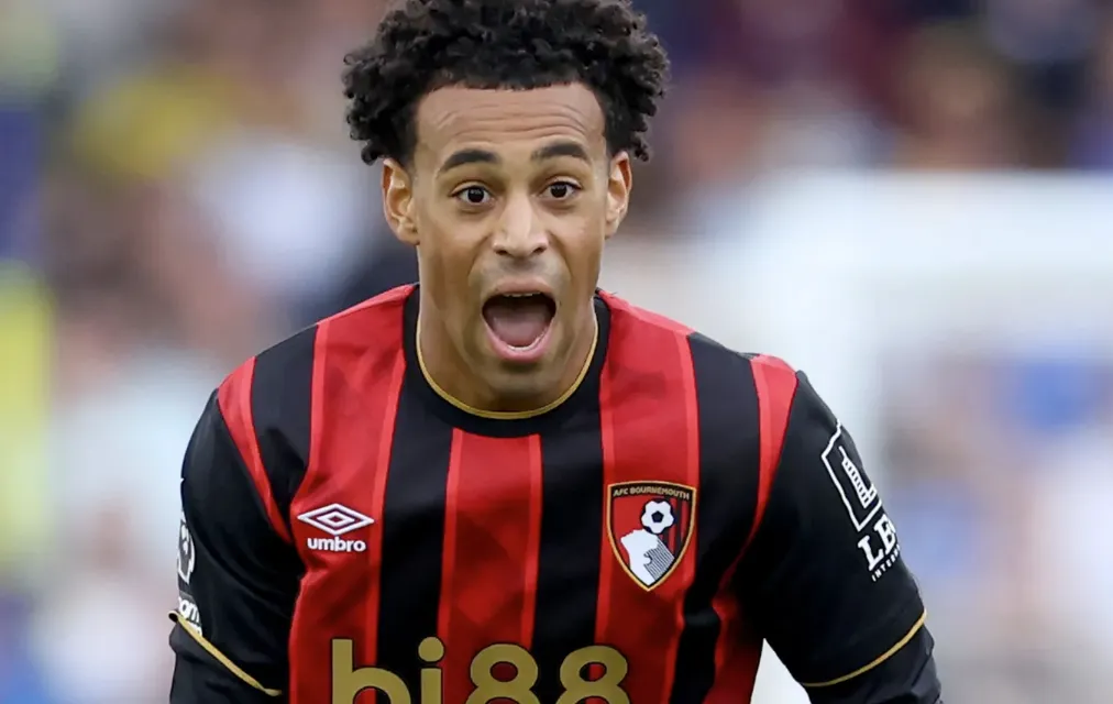 Why Tyler Adams is a Perfect Fit for the Premier League